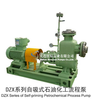  DZX系列自吸式石油化工流程泵