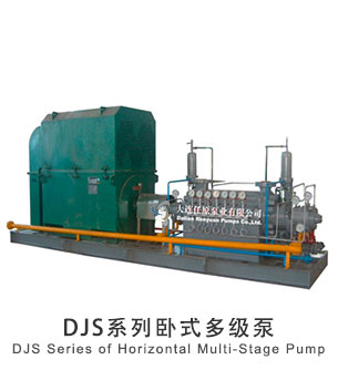  DJS 系列卧式多级泵