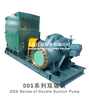  DDS 系列双吸泵