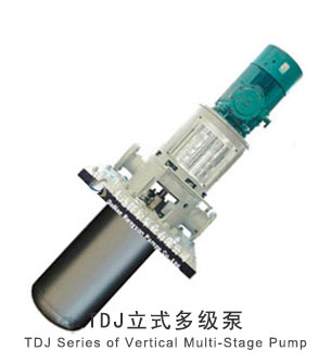 TDJ立式多级泵